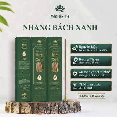Nhang Gỗ Thơm Bách Xanh Phẩm Cấp Thượng Hạng NBX02
